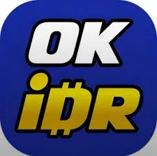 OKIDR - Aplikasi Pemutar MP3 Terbaik untuk Musik & Video